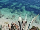 Das türkis-blaue Meer weckt in Ihnen sofort die Urlaubsgefühle  