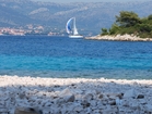 Ferienwohnungen Sonnenschein - Besuchen Sie die naheliegende Insel Badija und erholen Sie sich im Schatten der Kiefern