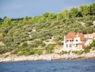 Blick vom Meer zur Ferienwohnung Tranquillo - Ferienwohnung Tranquillo mit Strandlage, Kroatien