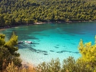 Wunderschöne Bucht umgeben von grüner Natur - Apartments Sonnenschein, Insel Korcula 