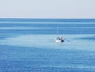 Ausblick vom Balkon auf das endlos blaue Adriatische Meer - Apartments Sonnenschein in Lumbarda